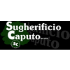 SUGHERIFICIO CAPUTO SRL